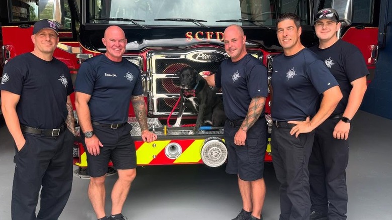 Multiple firefighters standing near a dog placed on a firetruck.