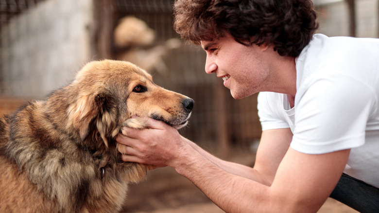 Man petting fluffy dog at animal shelter