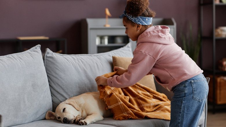 Girl placing blanket on dog sleeping on sofa