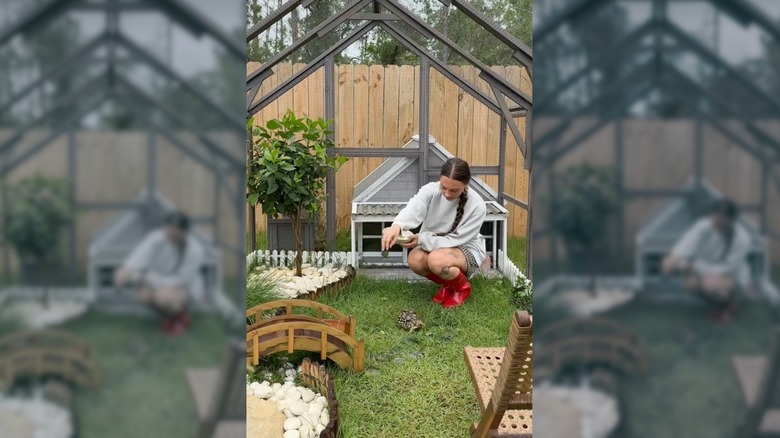 Woman in grey sweater feeds little tortoise inside an enclosure equipped with a small tortoise shelter.