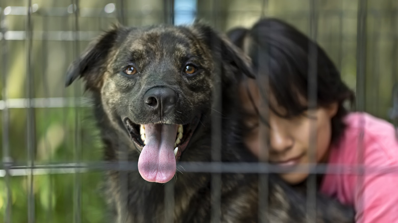 Girl hugs dog while outdoors in an enclosed playpen.