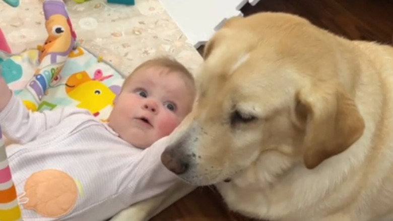 Parker and Gabriella spending time together