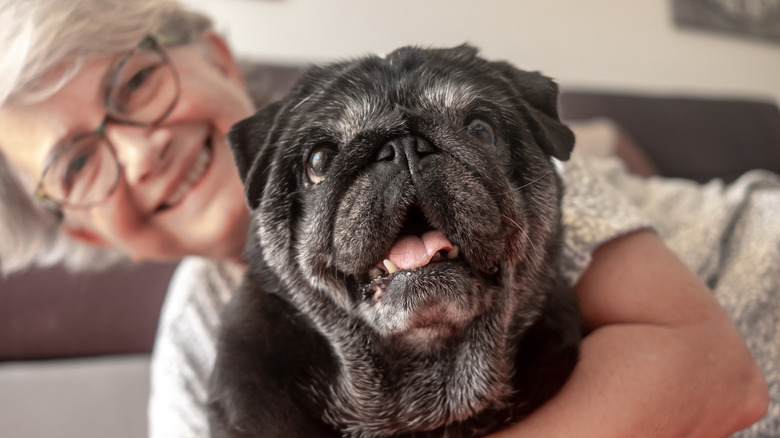 Senior pug and pet parent cuddling on the floor