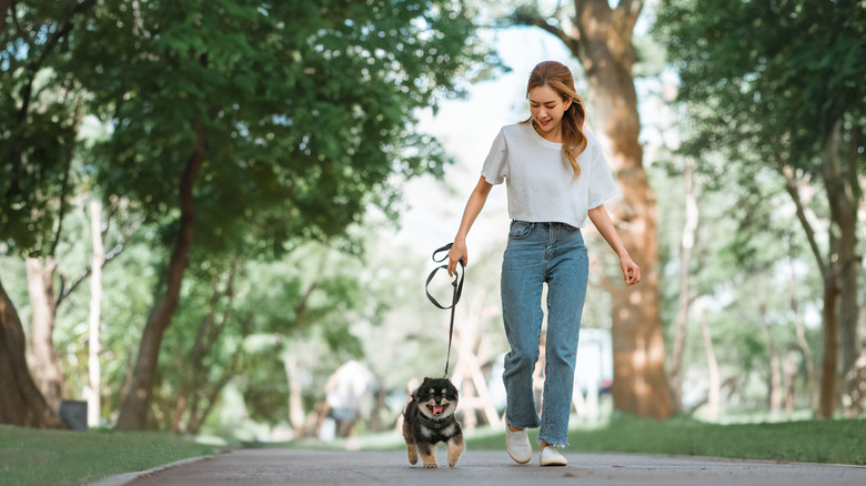 Woman walking with a Pomeranian on a leash.