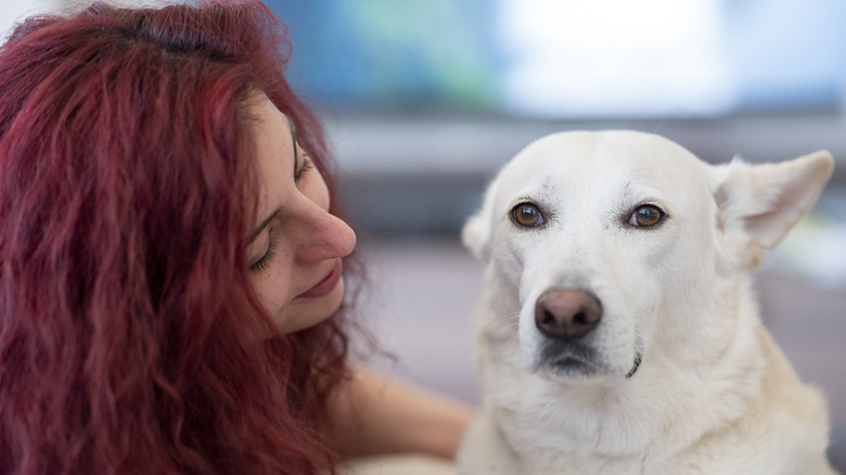 Woman petting dog, dog avoiding eye contact