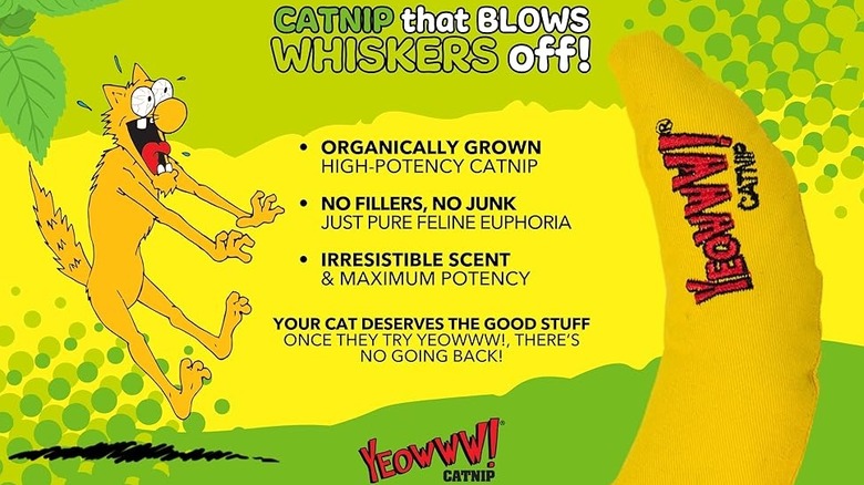 A cartoon cat looking at a banana toy; descriptive text lies between them