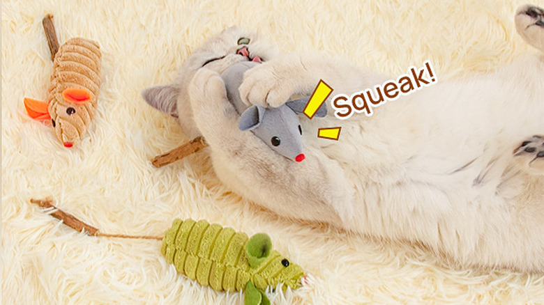 A cat lying on its back, squeezing a toy to its chest