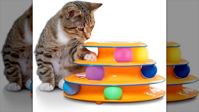A tabby cat playing with an orange tower toy