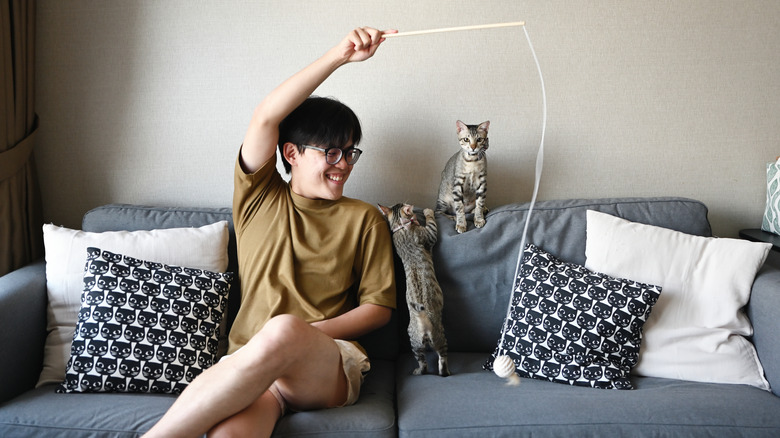 A man sitting on a couch and playing with kittens using a wand toy
