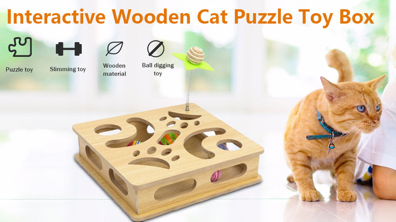 A wooden puzzle toy next to an orange cat.