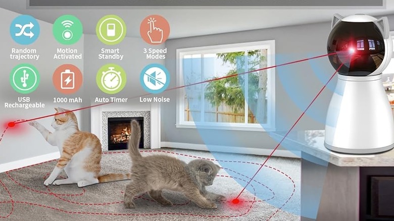 Two cats following a laser; laser tracks are outlined on the floor