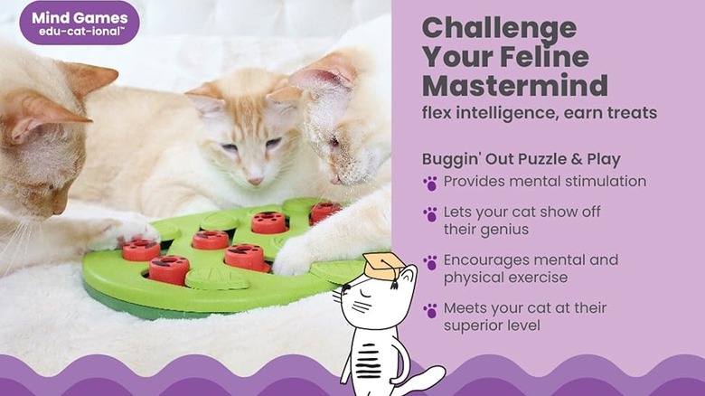 Three cats playing with a green puzzle toy next to a descriptive text box