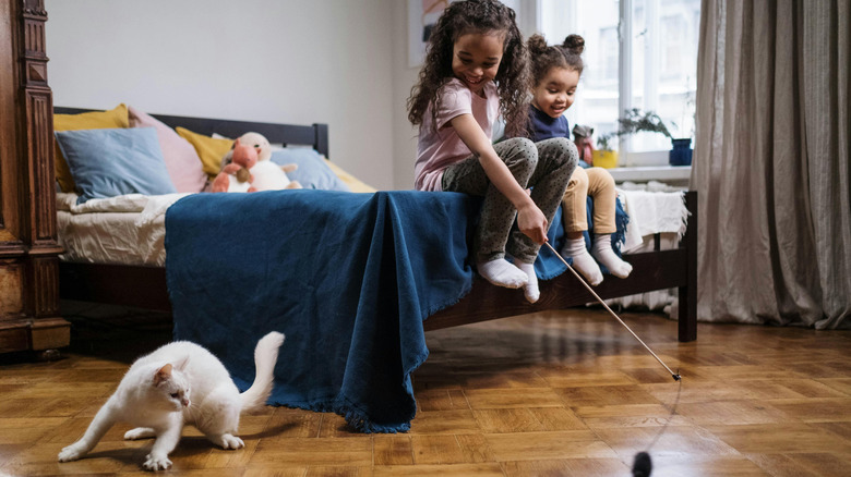 Children playing with an adult cat.