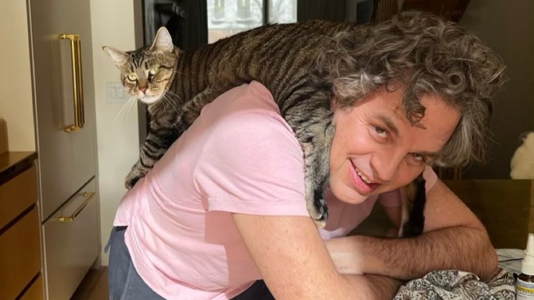Mark Ruffalo's gray tabby cat, Biscotti, laying on him