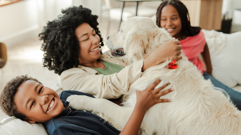 A golden retriever snuggling with its family on a couch