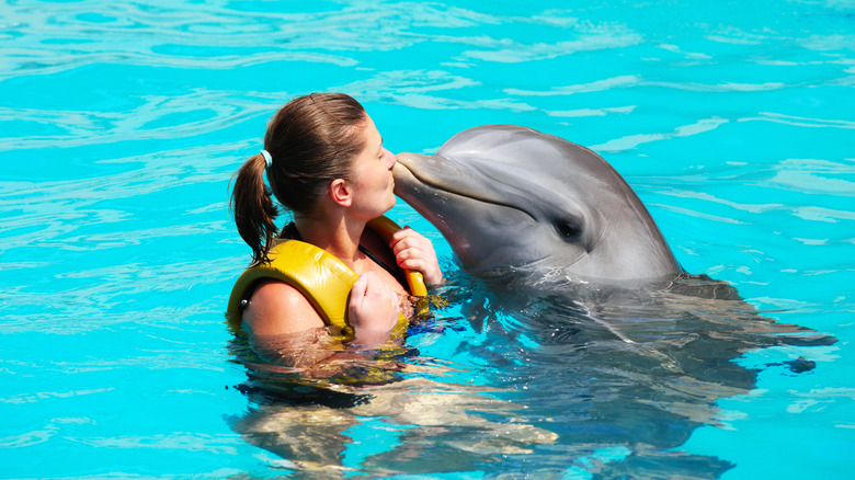 A happy woman kisses a dolphin in a pool