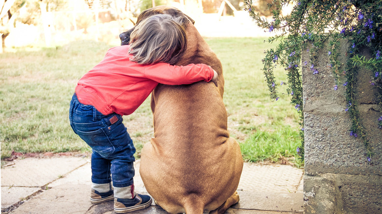 A young child hugging a bullmastiff