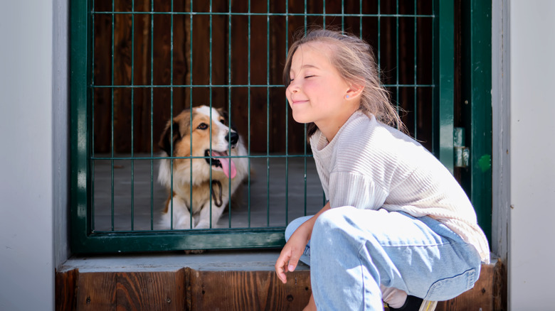Smiling girl standing outside collie in kennel at dog shelter