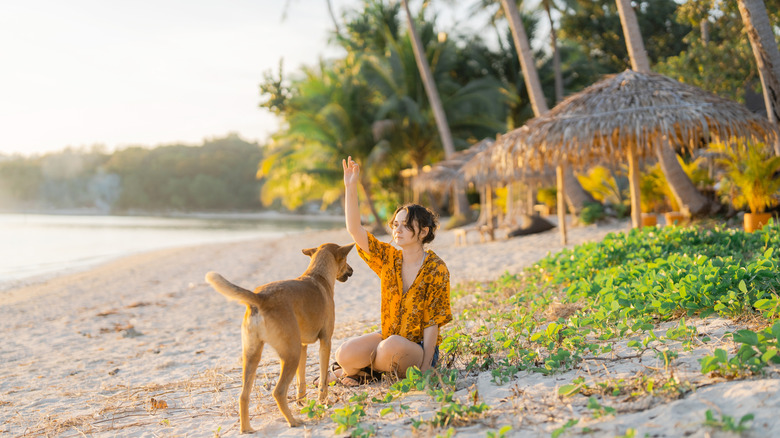 Woman plays with her dog on the beach.