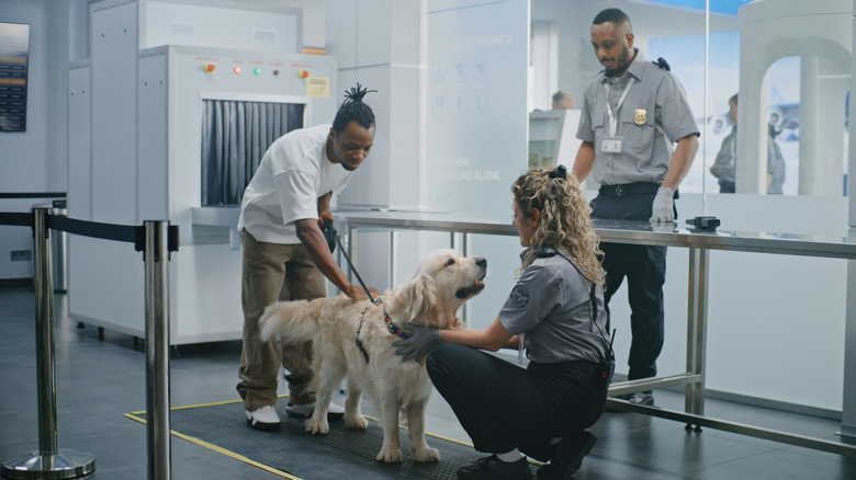 A person with their dog at an airport security search.