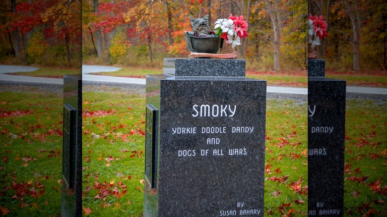 A monument to Smoky the war dog located in Cleveland, Ohio