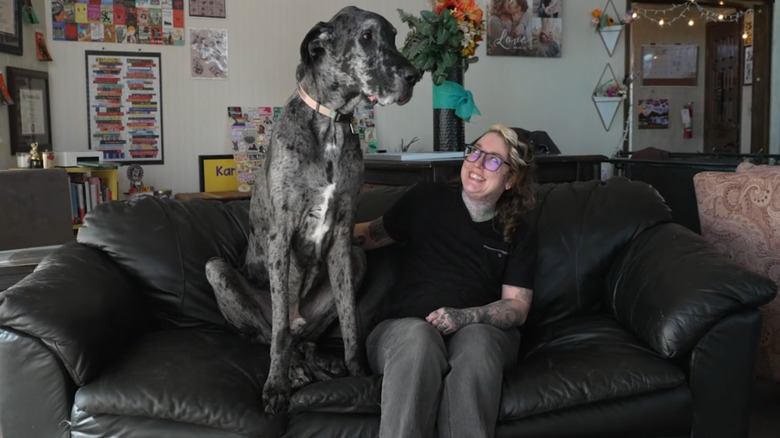 Zeus sitting next to his owner