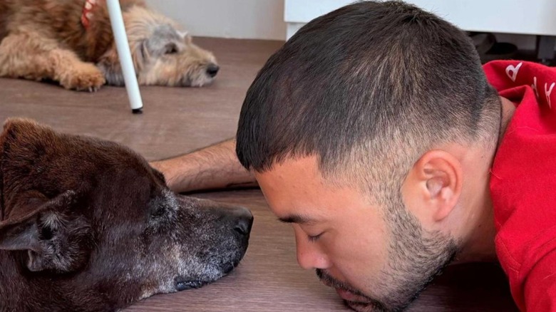 Happy Doggo animal advocate lays with sleeping senior dog.