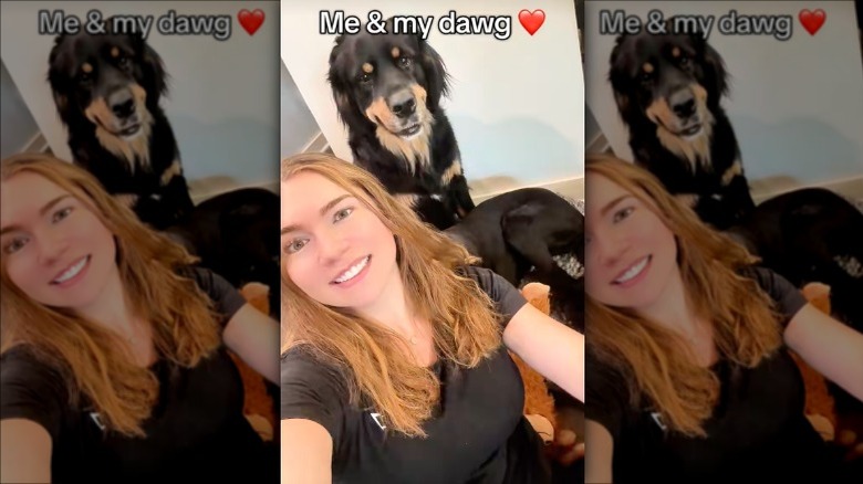 A Bernese-golden retriever mix posing with its owner