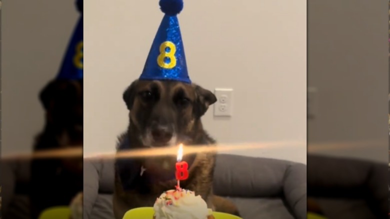 Rider celebrating his birthday