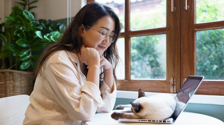 Cat lying on laptop keyboard as owner grins and watches