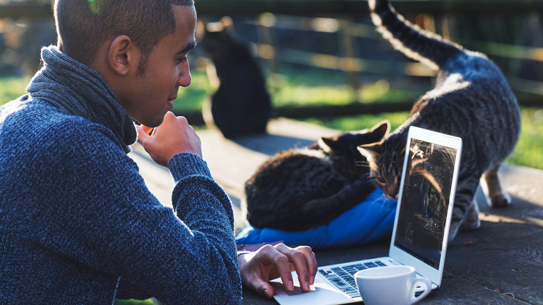 Man working on laptop on table outdoors, his three cats nearby