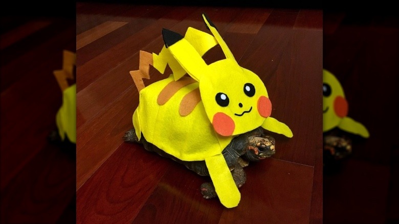 tortoise in pikachu costume