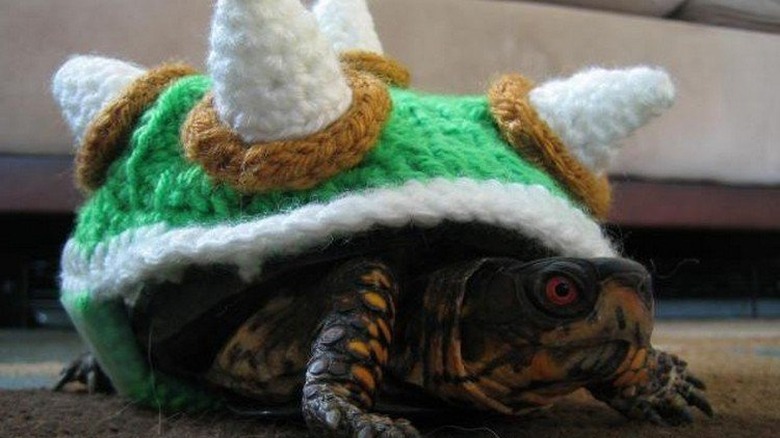 tortoise in bowser costume