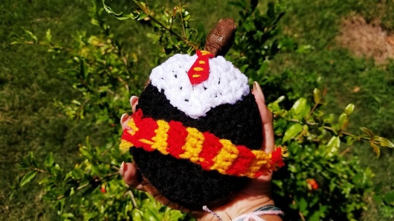 tortoise in gryffindor costume