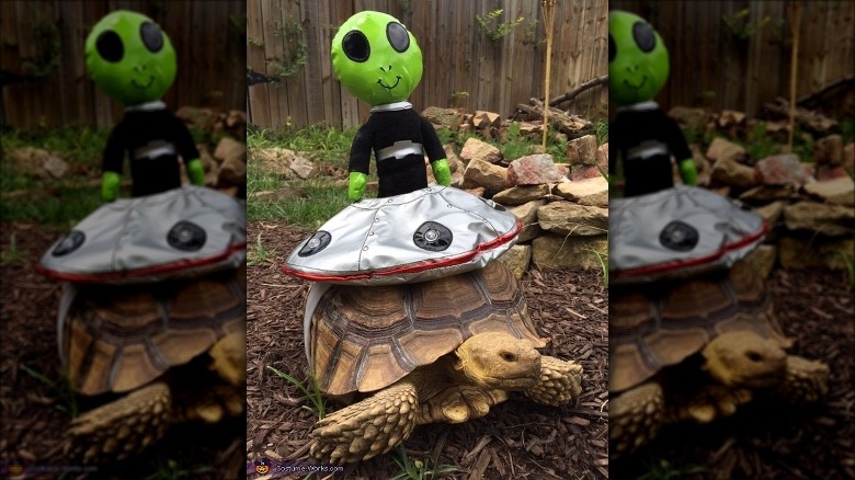 tortoise in alien costume