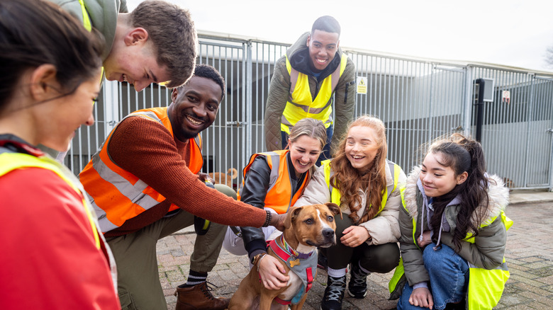 Group of teens volunteering at animal shelter with dog in front of them