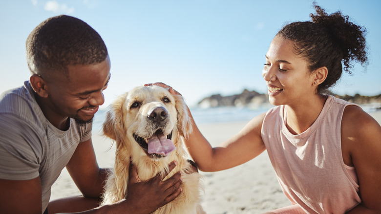 Smiling couple petting golden retriever at beach