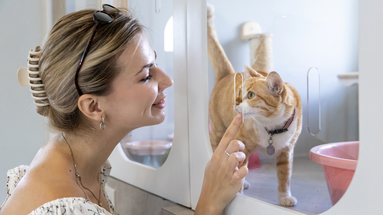Woman looking at cat at animal shelter