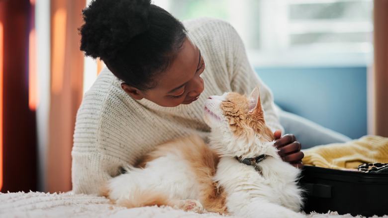 Woman lying on bed, petting cat