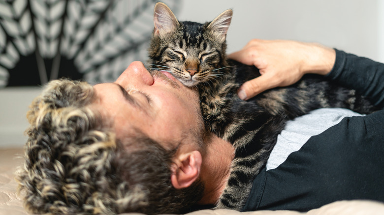 Man lying on back while relaxed cat lies on his chest and neck