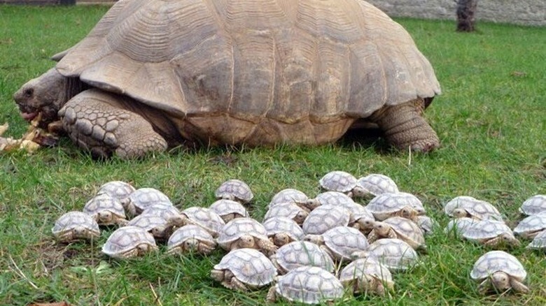 You'll Want To Share These 16 Ridiculous Animal Photos Immediately