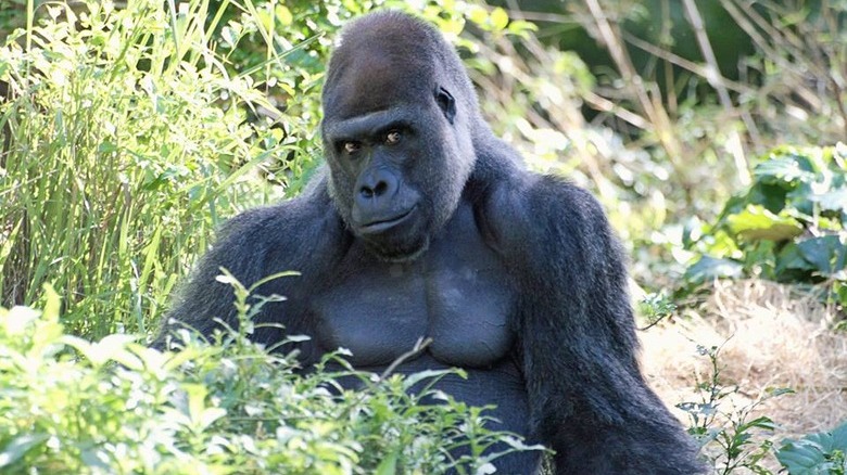 You'll Want To Share These 16 Ridiculous Animal Photos Immediately
