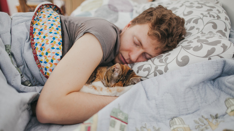 Sleeping man and sleeping cat sharing a pillow