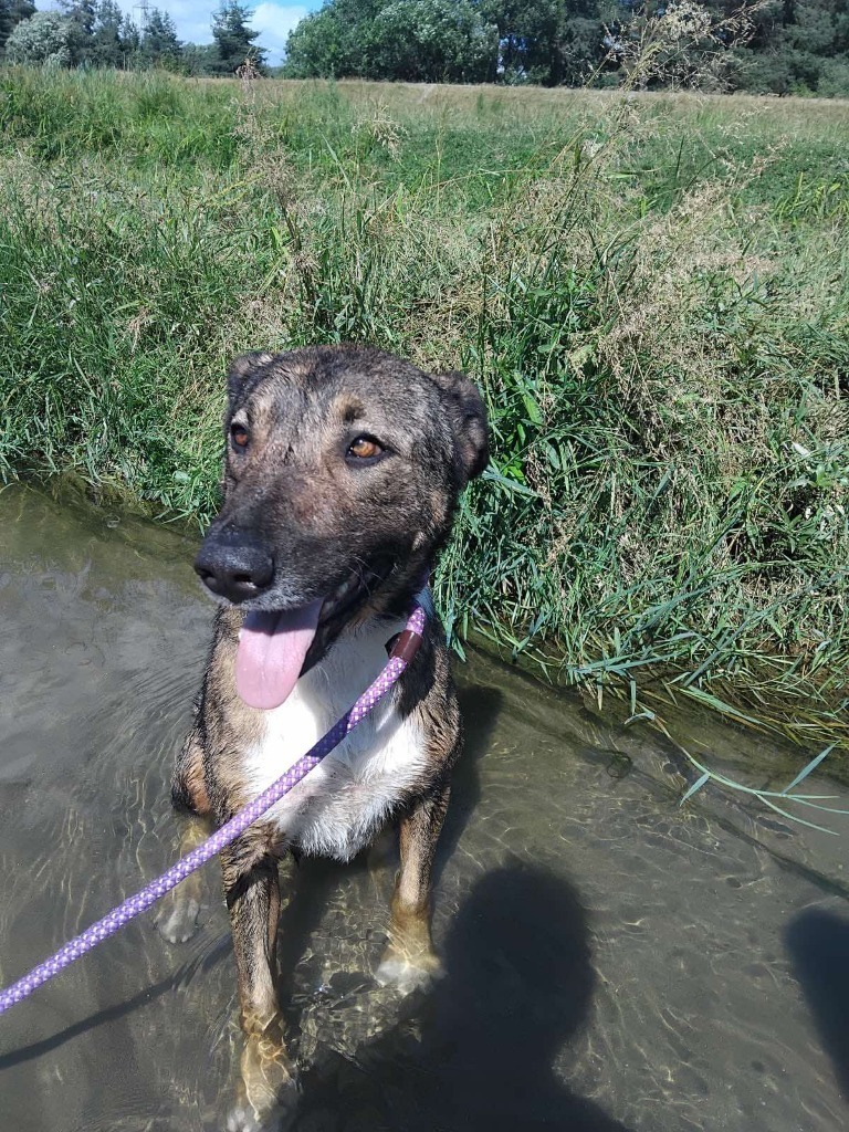 Martini sitting in a cool river