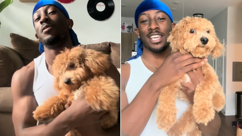 A man in a white tank top holding a puppy before and after its haircut.