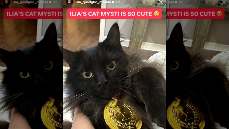A black cat wearing a gold medal at the 2026 Winter Olympics