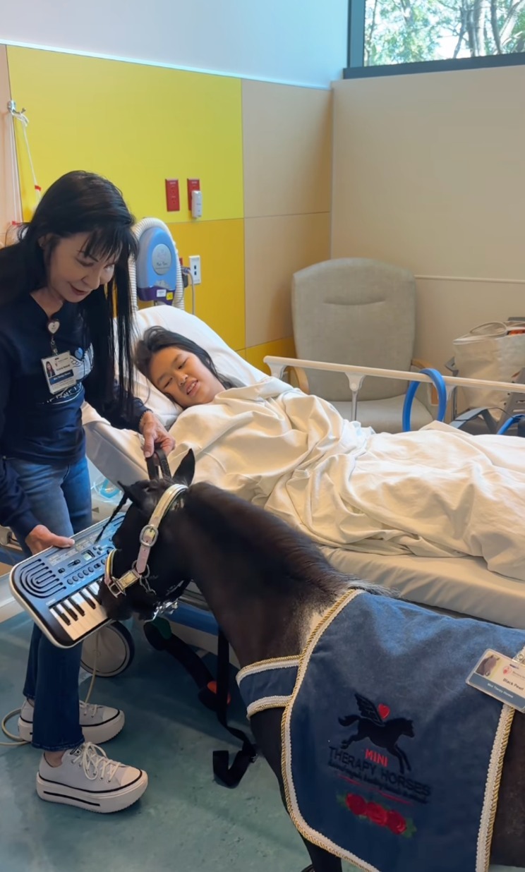 A mini horse playing a keyboard in a children's hospital